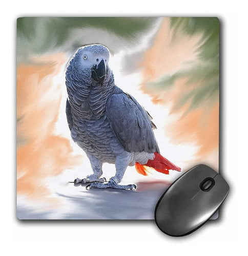 3drose Llc 8 x 8 x 0.25 Inches Mouse Pad, African Grey Pa 0