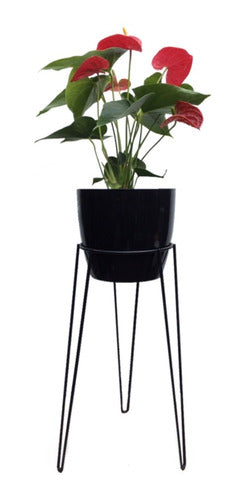 Nordic Iron Plant Stand 60 cm Tall + Pot N 22 5