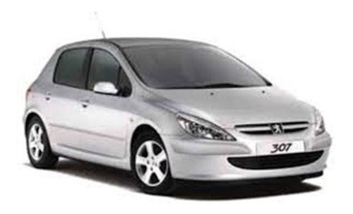 Peugeot Cambio Pastillas De Peugeot 307 1.6 0