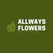 Allways Flowers Ramo Orquidea Artificial Pack X 6 1870 2