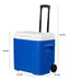 Igloo Laguna 28qt Roller Cooler with Wheels 2