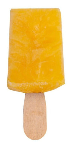 PALE Paleta Helada Artesanal Sabor Exprimido De Naranja 0