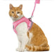 Padded Harness with Leash for Small Dogs and Cats - Various Sizes 33