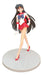 Premium Imported Generic Sailor Moon Figure 0