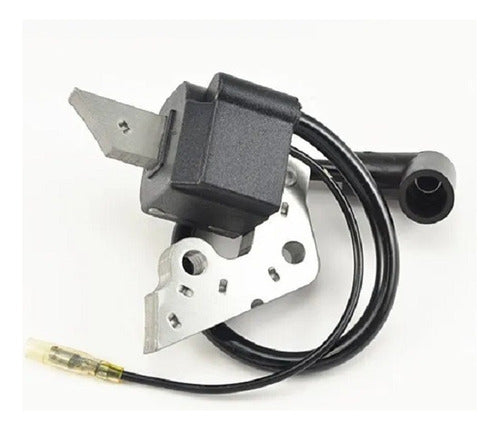 Ignition Coil Compatible with Robin EY20 EY 20 0