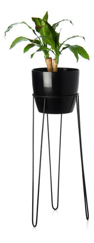 Nordic Design Iron Plant Stand 50cm + 60cm + 2 Black Pots N22 1