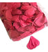 SKYSHOWFX Confetti Petals White Red Fuchsia Paper Cannon 3