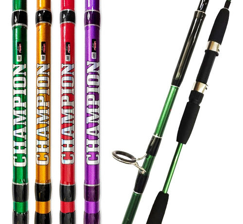 Albatros Champion 2.40 M 2-Piece Solid Fishing Rod for Varied Fishing 5