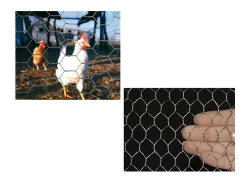 Galvanized 3/4'' Hexagonal Mesh Chicken Wire 0.8m 20m 2