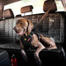 Ezydog Drive Safety - Travel Harness for Dogs 3