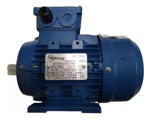 Motorarg Electric Motor Trifasic, 1500RPM 0.33HP B3 0