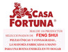 Fortune Turtle Dragon YMJ 07 by Casa Fortuna - 37x20x36 Cms 1