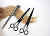 Facón Professional Razor Edge Barber Hair Scissors Set - Jap 1