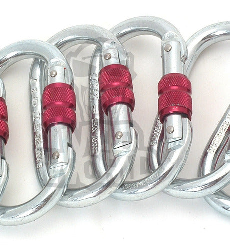 ESLINGAR Oval Steel Carabiner - Pack of 6 3