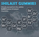 Shilajit Extra in Gummies! 1,400mg Ultimate Presentation 4