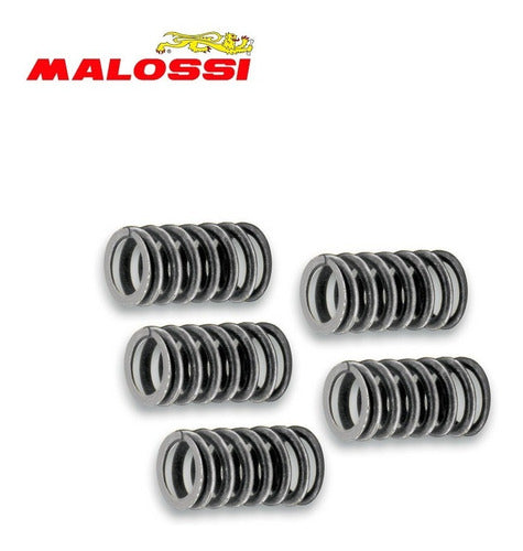 Malossi Reinforced Clutch Spring Kit for Siam TV 175 1