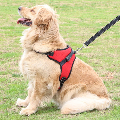 Padded Dog Harness Chest Plate XS to XL 5