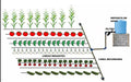 Drip Irrigation Hose 20m Dropper 33cm Orchard Garden Bed 3