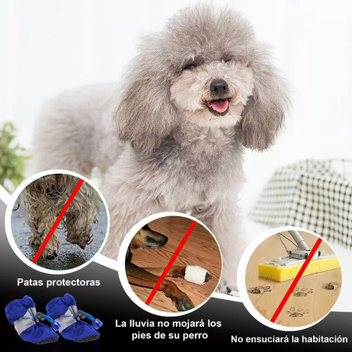 Pethome Botitas Perros Impermeable Botas Antideslizantes Lluvia 06 6