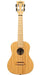 Kala KA-BMB-C All Solid Bamboo Concert Ukulele 3