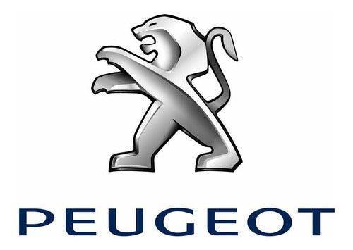 Cuba Gas Oil Filter Peugeot Partner 206 - 207 1.9 Diesel Dw8 4