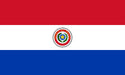 Bandera  De Paraguay 1,50mt X90cm 0