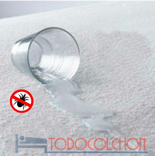Waterproof Towel and PVC Mattress Protector 80 x 190 Todocolchon 3