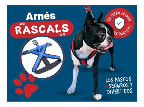 Padded Premium Large Dog Harness Rascals 43