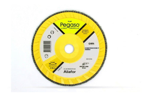 Aliafor Disco Flap Pegaso 115mm G36 Plastic Base Construction Glass 1