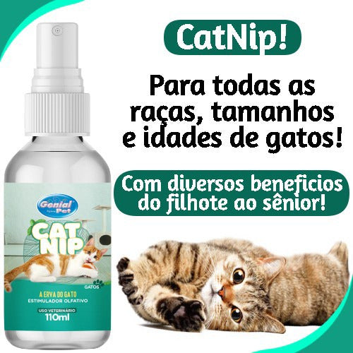 Shampoo Anti Pulgas Pra Gatos+ Erva De Gato Spray 3