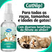 Shampoo Anti Pulgas Pra Gatos+ Erva De Gato Spray 3