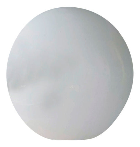 Vidrio Opal Satinado De Repuesto Para Globo 8x15 0