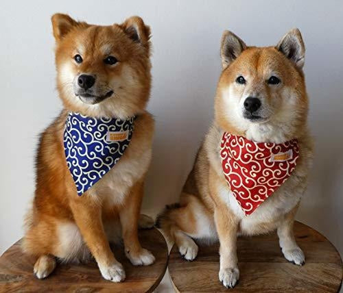 Kawaii Shiba Co Karakusa Bandana Japonesa Para Perro Con Cue 2