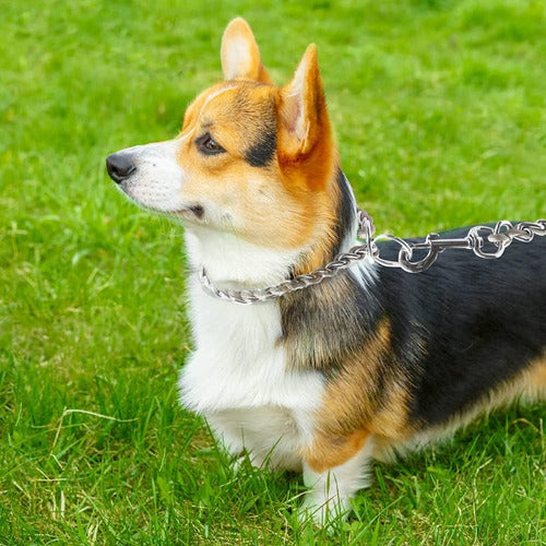 TSPRO Slip Chain Dog Collar - Collares Ajustables Para Perro 4