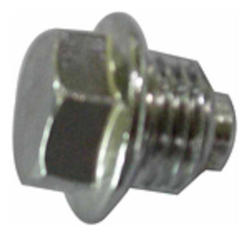 Bulon Tornillo Para Flautin De Distribucion Moto 110 Rpm1240 0