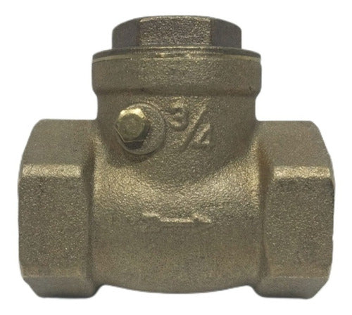 Generic Anti-Return Valve with Brass Flap 3/4 Inch PN20 0