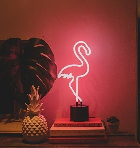 Amped & Co Neon Flamingo De Computadora Rosa 6