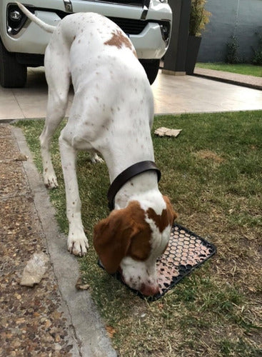 BD Tecnología Lickimat Anti-Stress Licking Mat for Dogs and Cats - Pack of 3 1