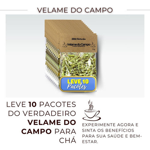 Leve 10 Chá Velame Do Campo Erva Seca Proprio Para Cha 1