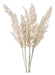 Pack of 5 XL Pampa Grass Dry Flowers - Free Shipping to Caba 0