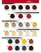 48 Color Master Tints + 1 Kg Argan Mask - Fidelité 6