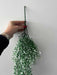 HYF Hanging Vertical Garden Plant with Artificial Bell Flowers 6