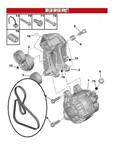 Correa De Accesorios (alternador, A/ac Y D/h) Partner B9 1