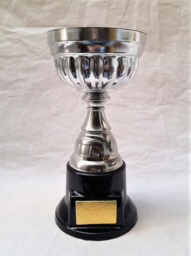 Copa Trofeo Elegante Diseño Cuerpo Metal Plateado-plastico 0