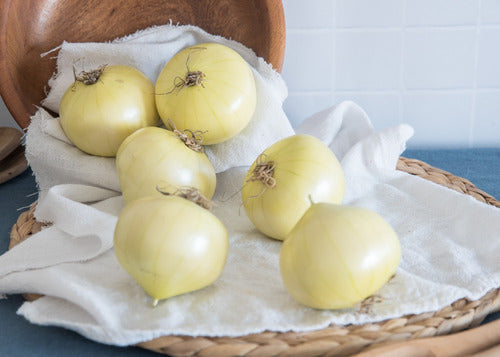 Set of 2 White Onion Artificial Vegetables 10cm 0