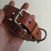 Leather Collars with Bronze Identification 5