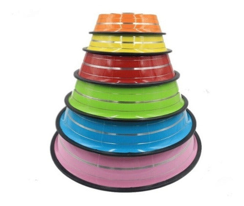 Stainless Steel Non-Spill Anti-Skid 36cm Pet Bowl in Color Stripes 0