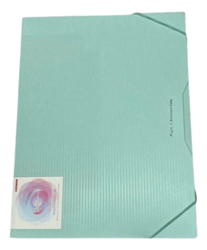 Databank A4 45mm Spine Elastic Folder - Pastel Green 0