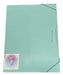 Databank A4 45mm Spine Elastic Folder - Pastel Green 0