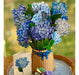 ~? Freshcut Paper Pop Up Cards, Nantucket Hydrangeas, 12 Inc 4